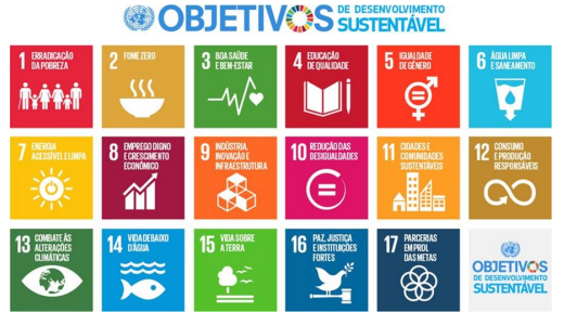 ODS - OBJETIVOS DE DESENVOLVIMENTO SUSTENTAVEL